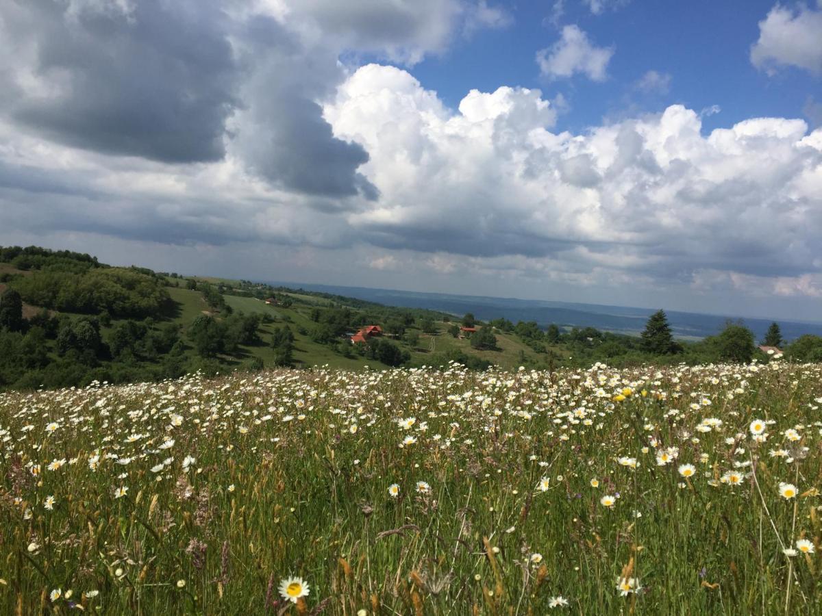 Rose Hip Hill Farm Bed and Breakfast Valea Tirnei Εξωτερικό φωτογραφία