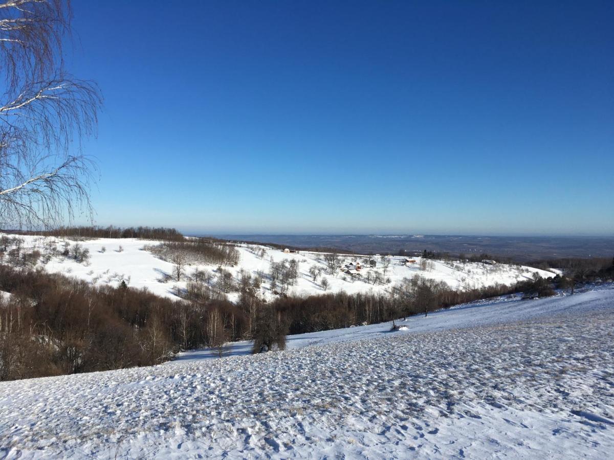 Rose Hip Hill Farm Bed and Breakfast Valea Tirnei Εξωτερικό φωτογραφία