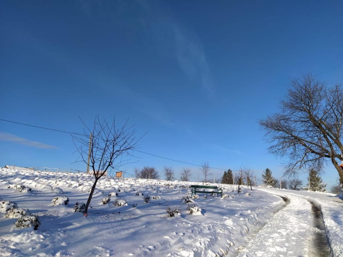 Rose Hip Hill Farm Bed and Breakfast Valea Tirnei Εξωτερικό φωτογραφία