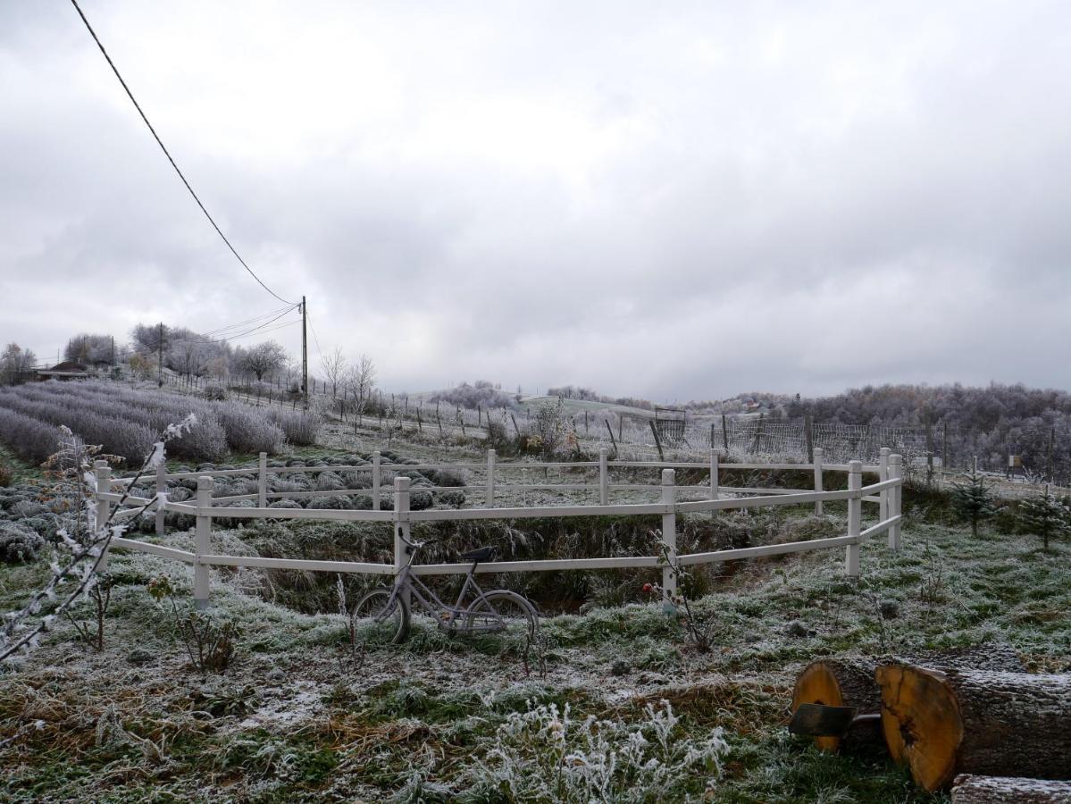 Rose Hip Hill Farm Bed and Breakfast Valea Tirnei Εξωτερικό φωτογραφία