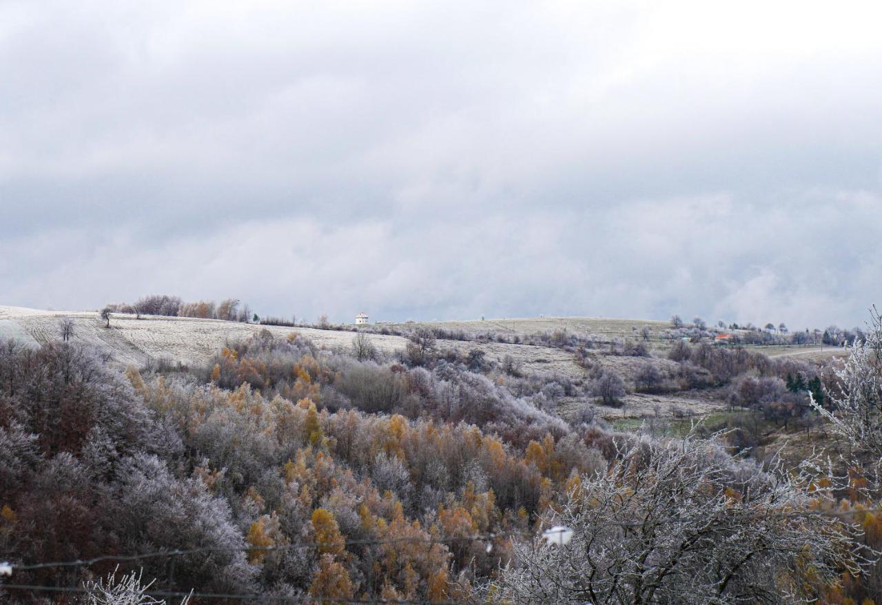 Rose Hip Hill Farm Bed and Breakfast Valea Tirnei Εξωτερικό φωτογραφία
